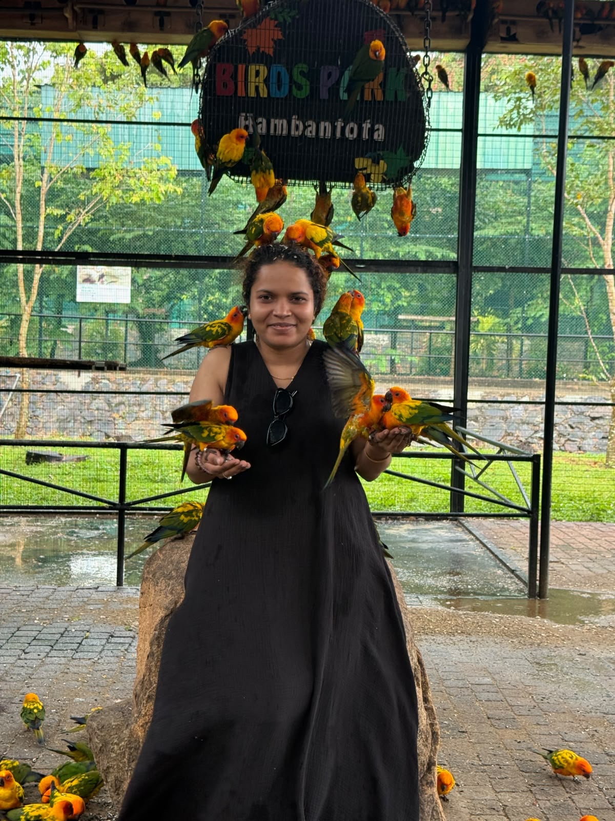 feeding small exotic birds at birds park hambantota sri lanka